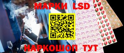 шишки Тверь