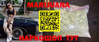 шишки Тверь