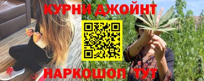 шишки Тверь