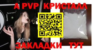 шишки Тверь