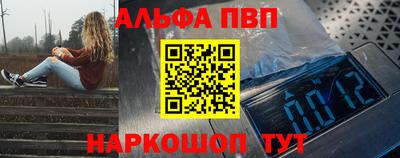 шишки Тверь
