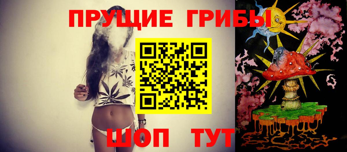 дарнет шоп  Вход с VPN  Волгодонск  Галлюциногенные грибы GOLDEN TEACHER  Псилоцибиновые грибы мицелий 
