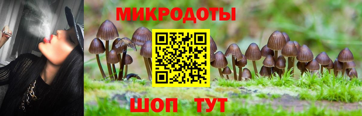 Псилоцибиновые грибы мицелий Волгодонск